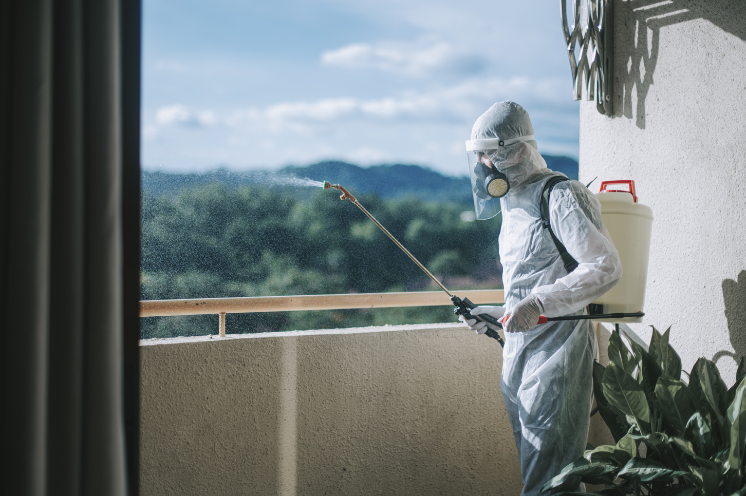 مكافحة حشرات