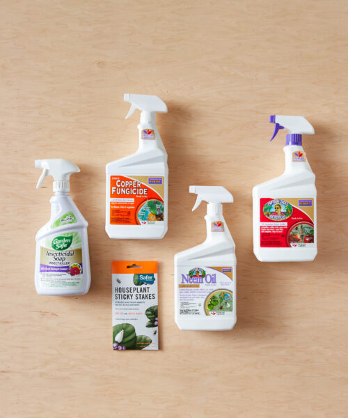 مجموعة المكافحة الكاملة